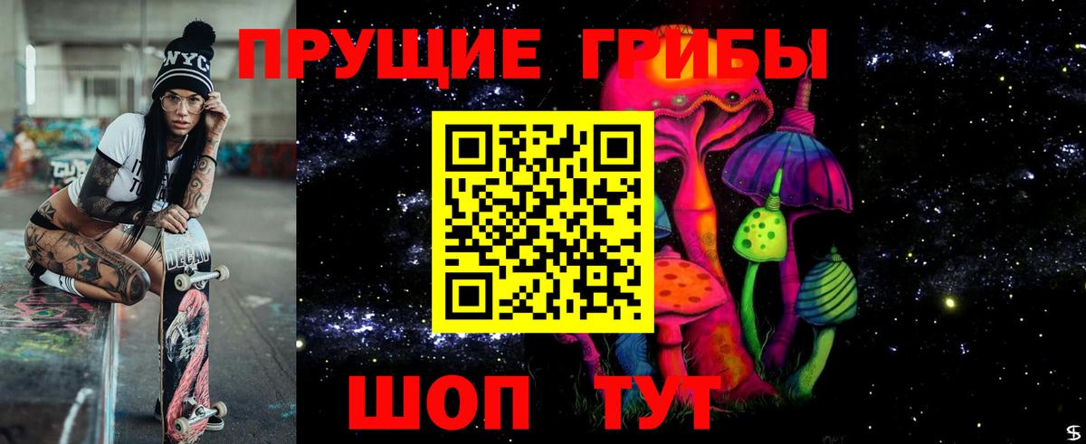 Павлово  Псилоцибиновые грибы Psilocybine cubensis  Вход с VPN 
